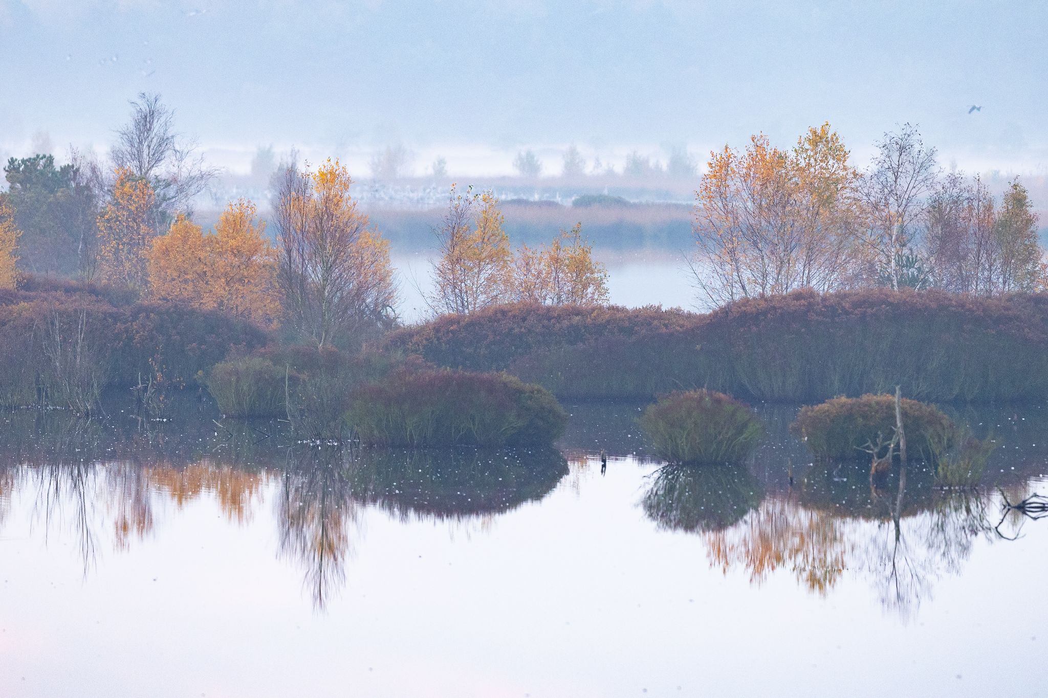 Herbststimmung im Moor