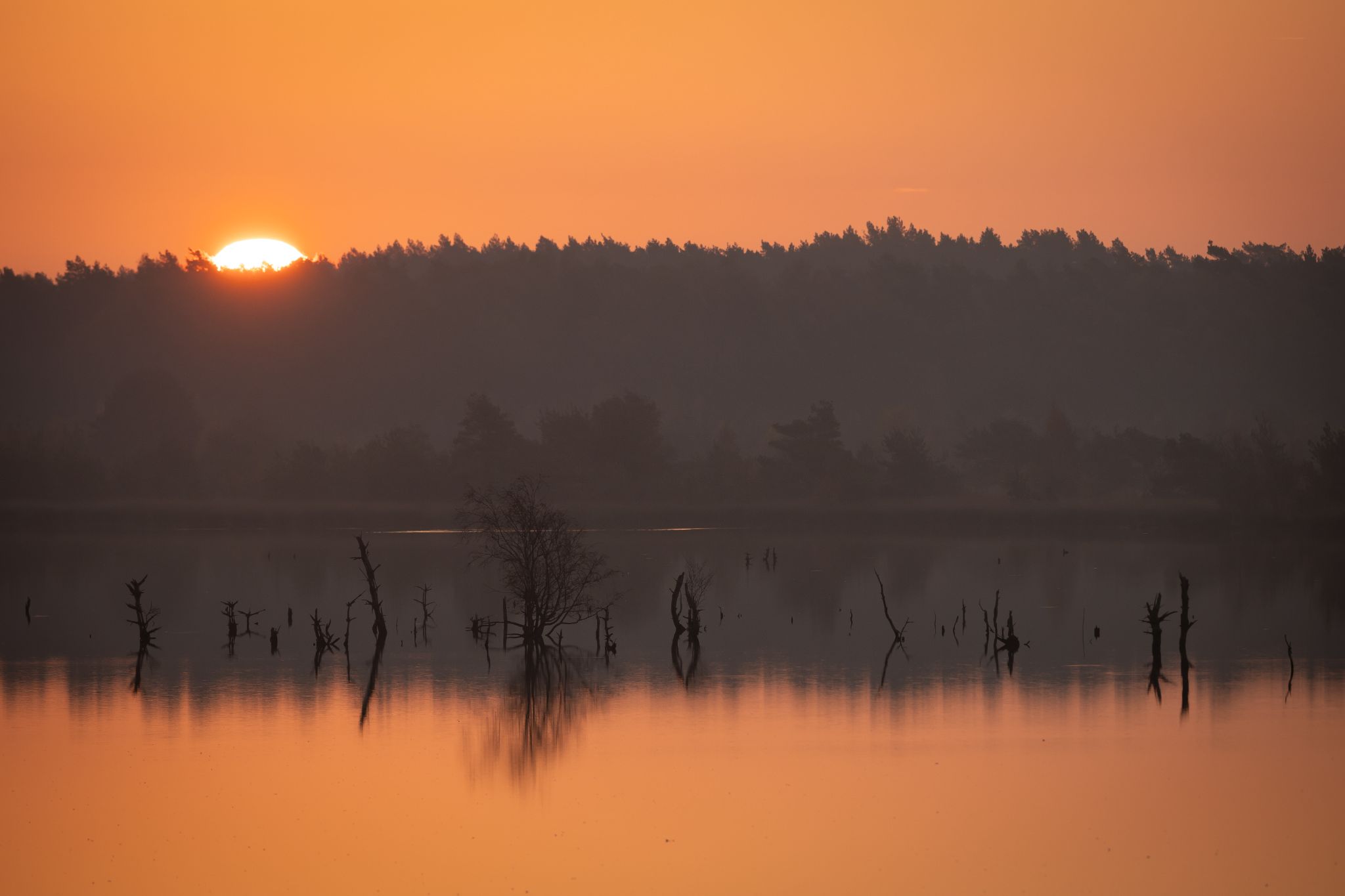 Sonnenaufgang im Moor