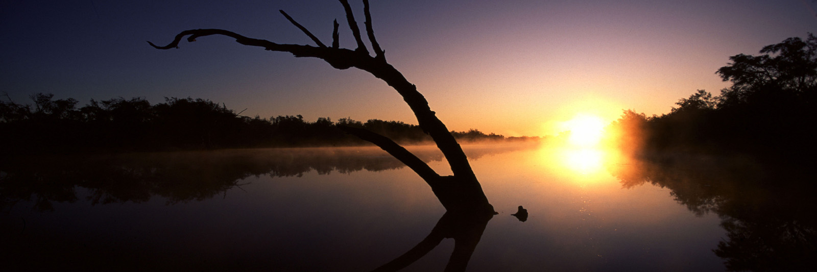 Murray-Sunrise