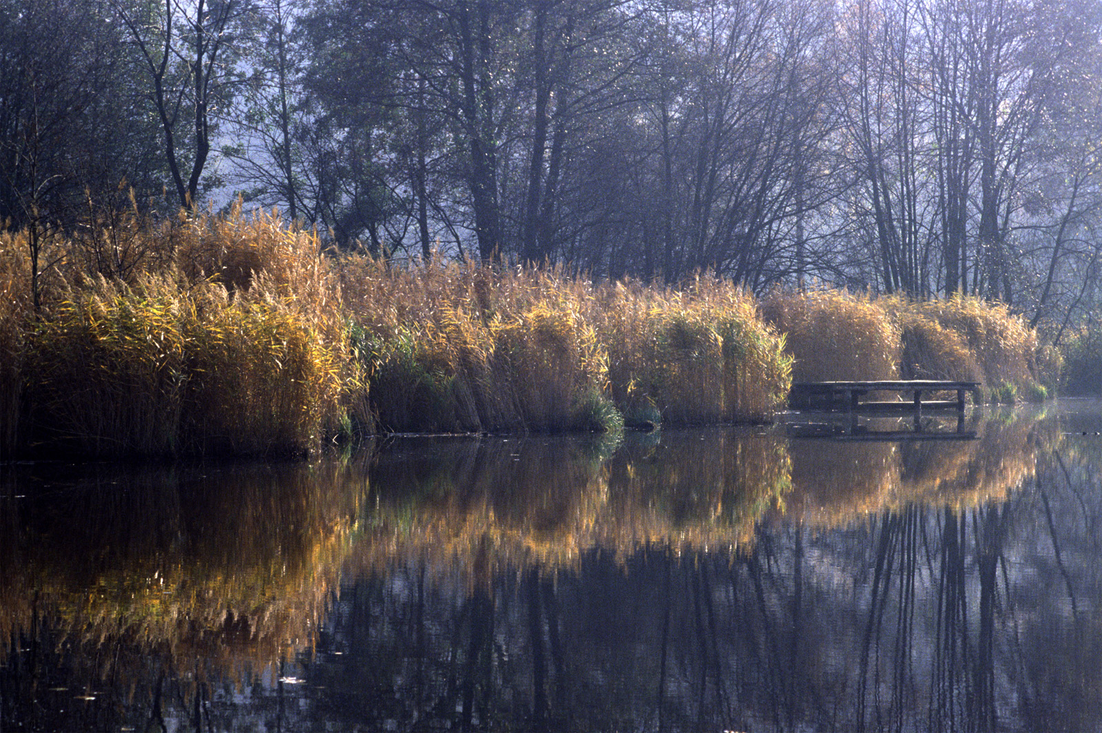 Autumn