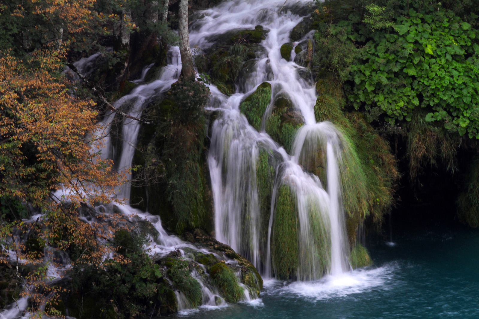 Wasserschleier im Wald