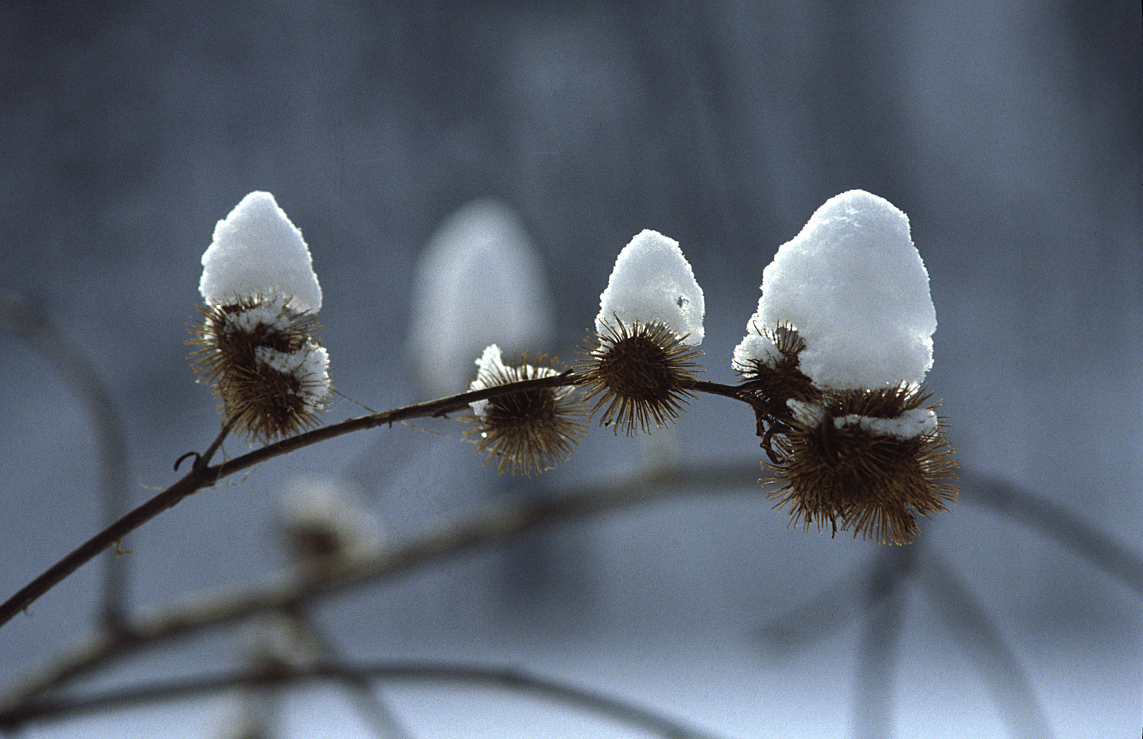 Kletten mit Schnee