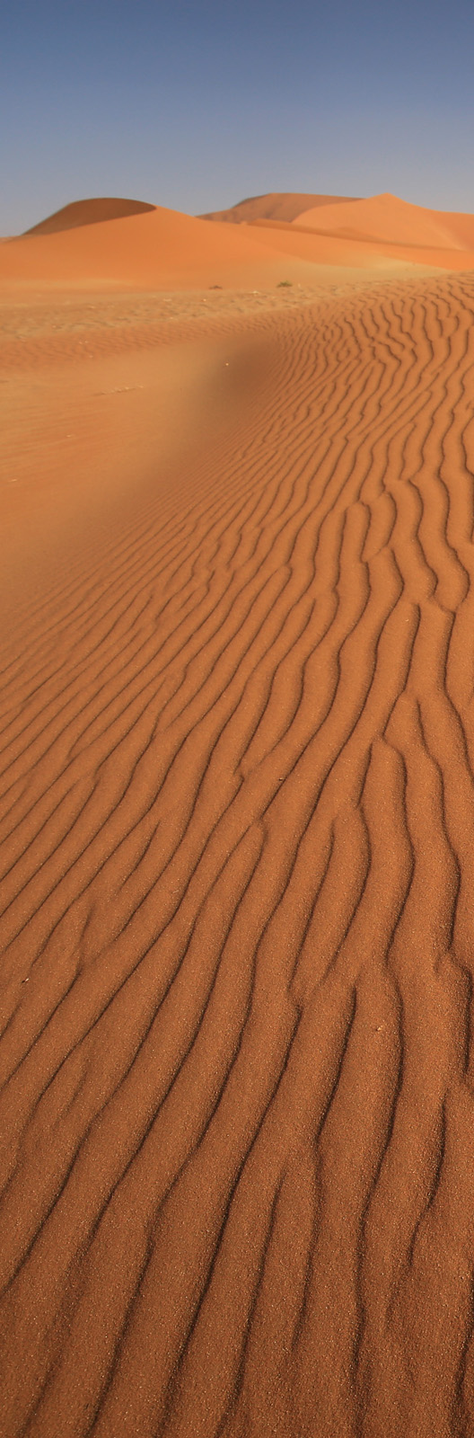 Endless Sand
